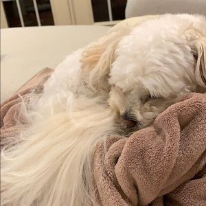 Meet your Posher, Christian